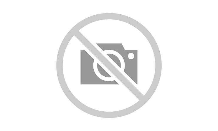 Včely na střechách továren